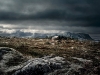 untitled-8.jpg